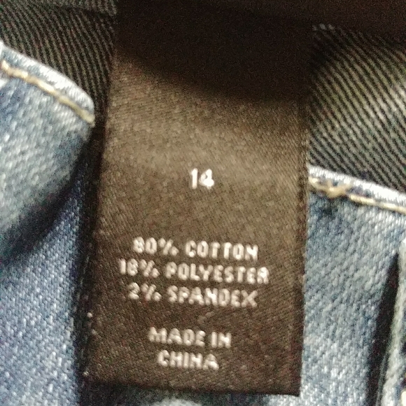 Lane Bryant Distressed Jeans - Picture 11 of 14